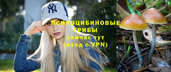 кокаин премиум Богданович