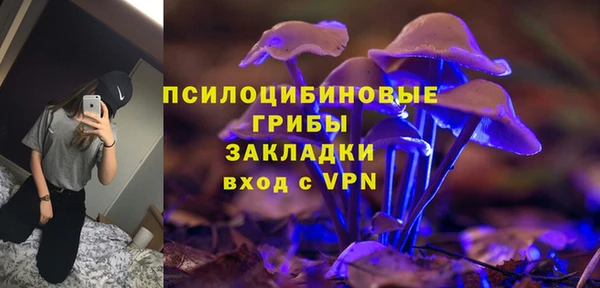 марки lsd Бородино