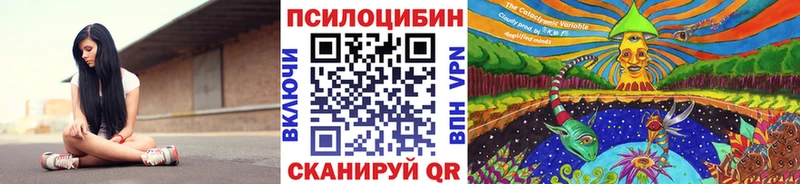 Псилоцибиновые грибы мицелий  Красновишерск 